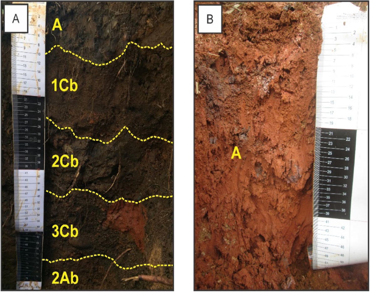 Fig. 10