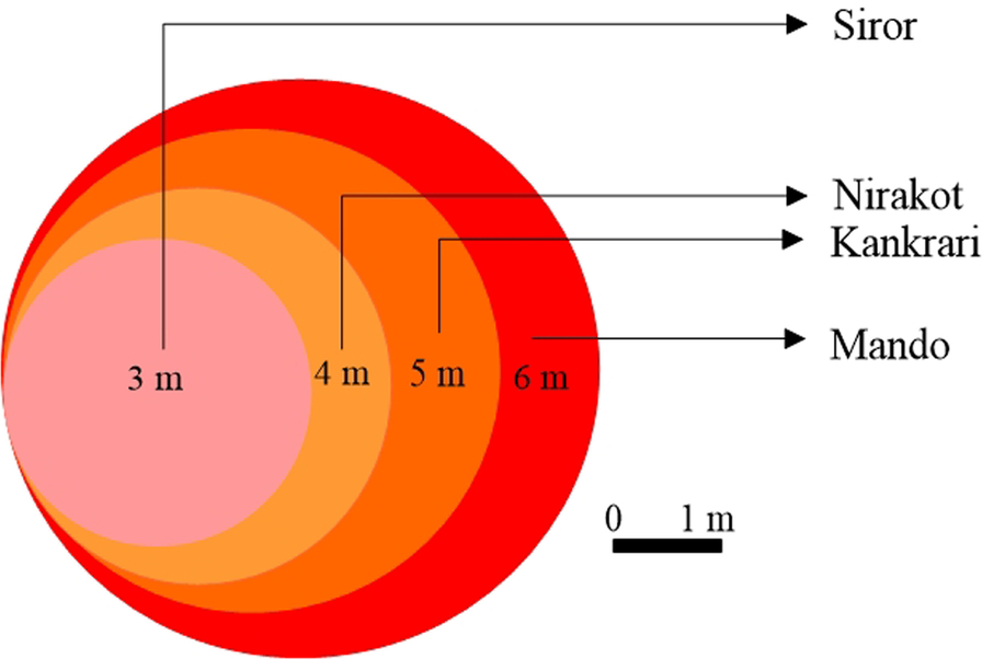 Fig. 6