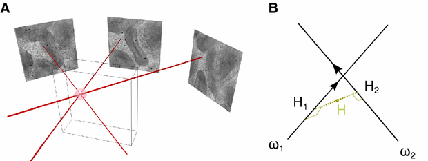 Fig. 12