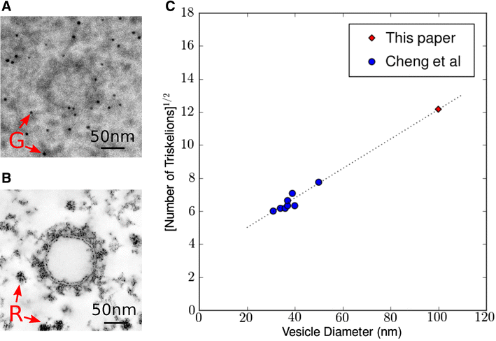 Fig. 8