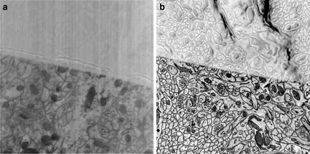 Fig. 7