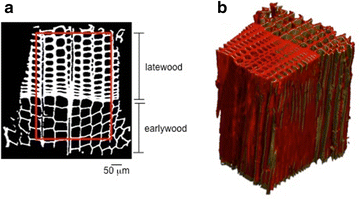 Fig. 1