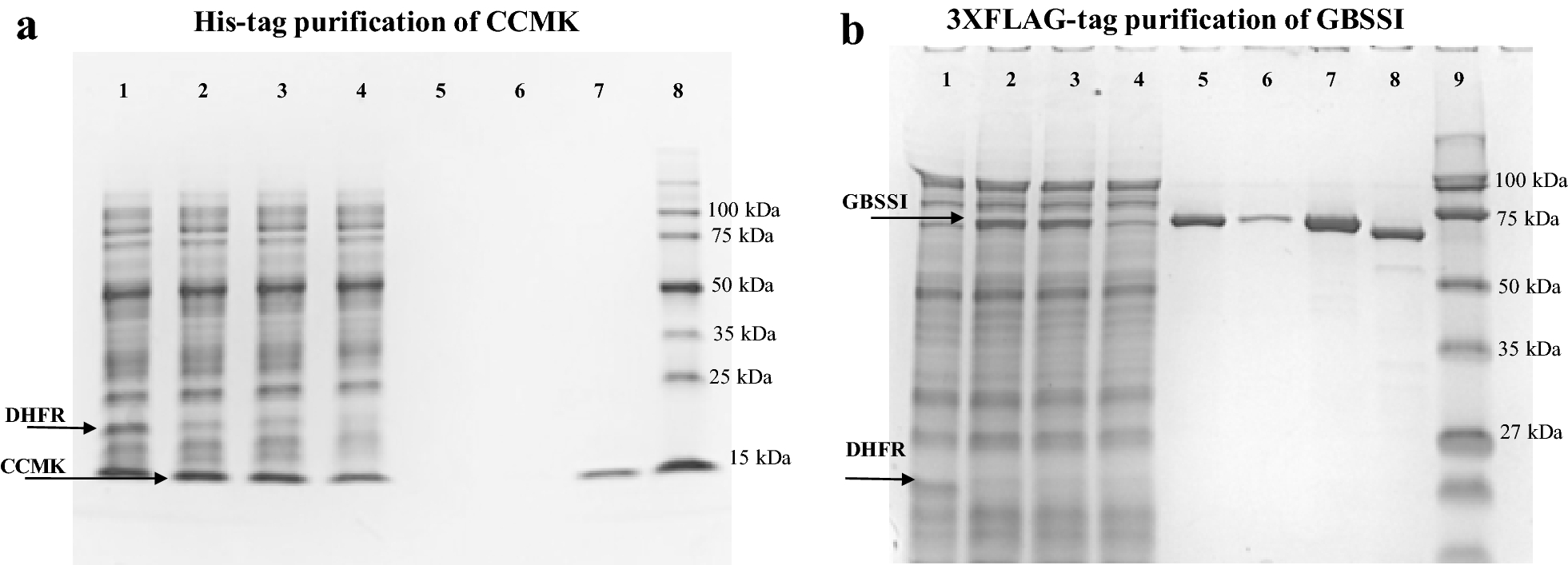 Fig. 3