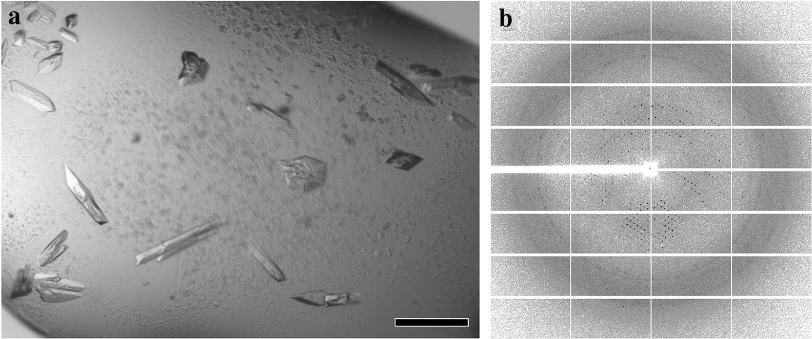 Fig. 6