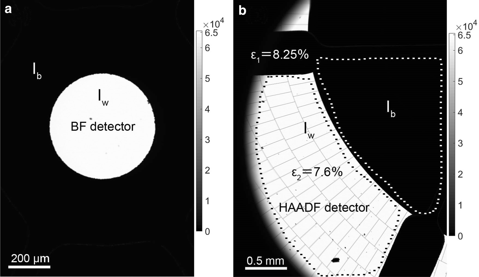 Fig. 1