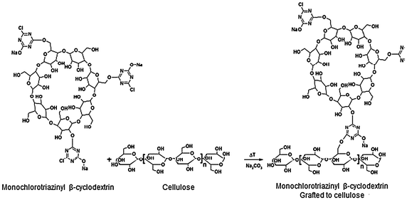 Scheme 2