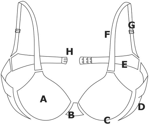 Fig. 1