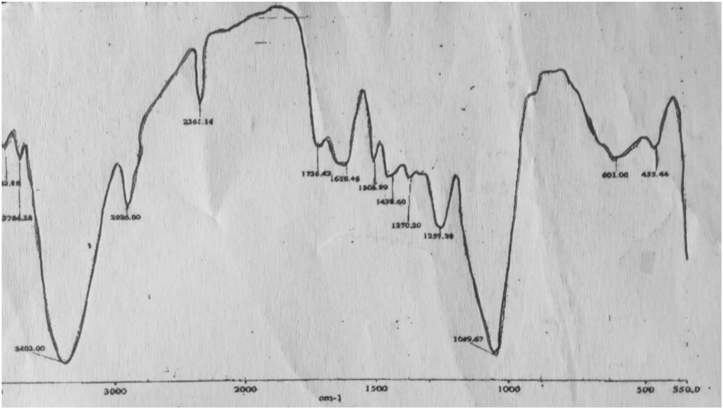 Fig. 5