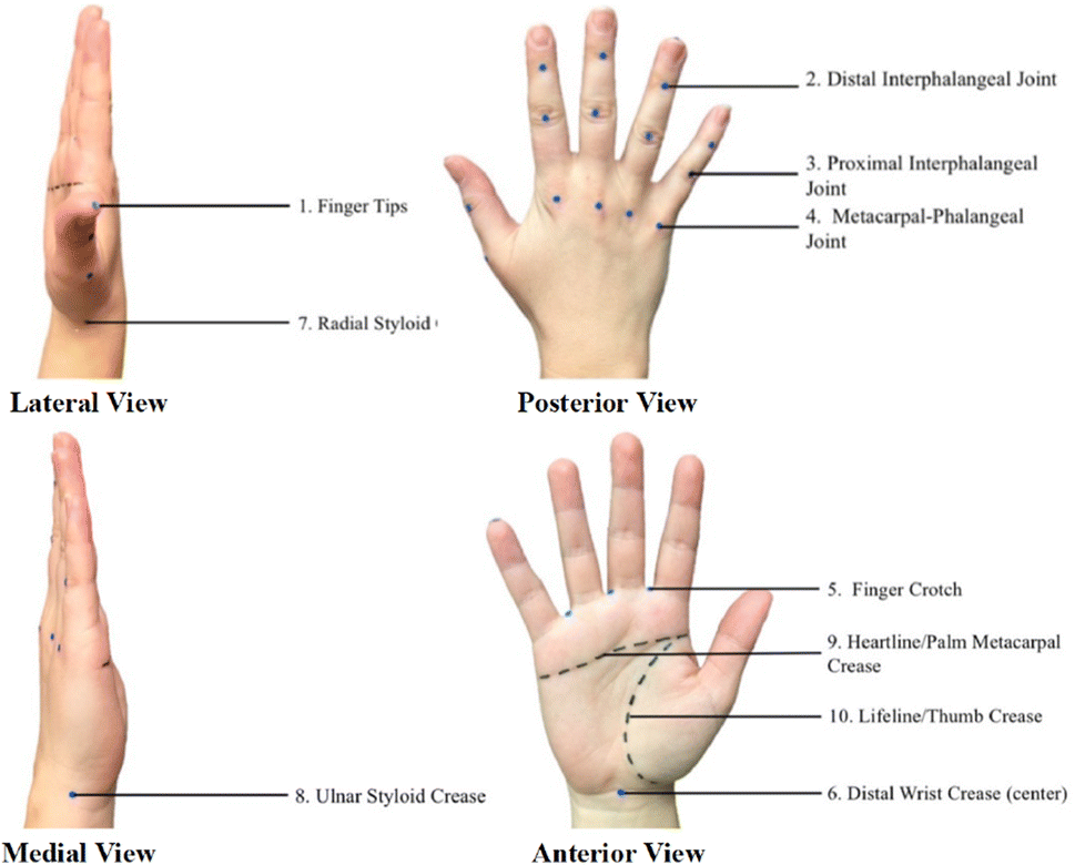 Fig. 2