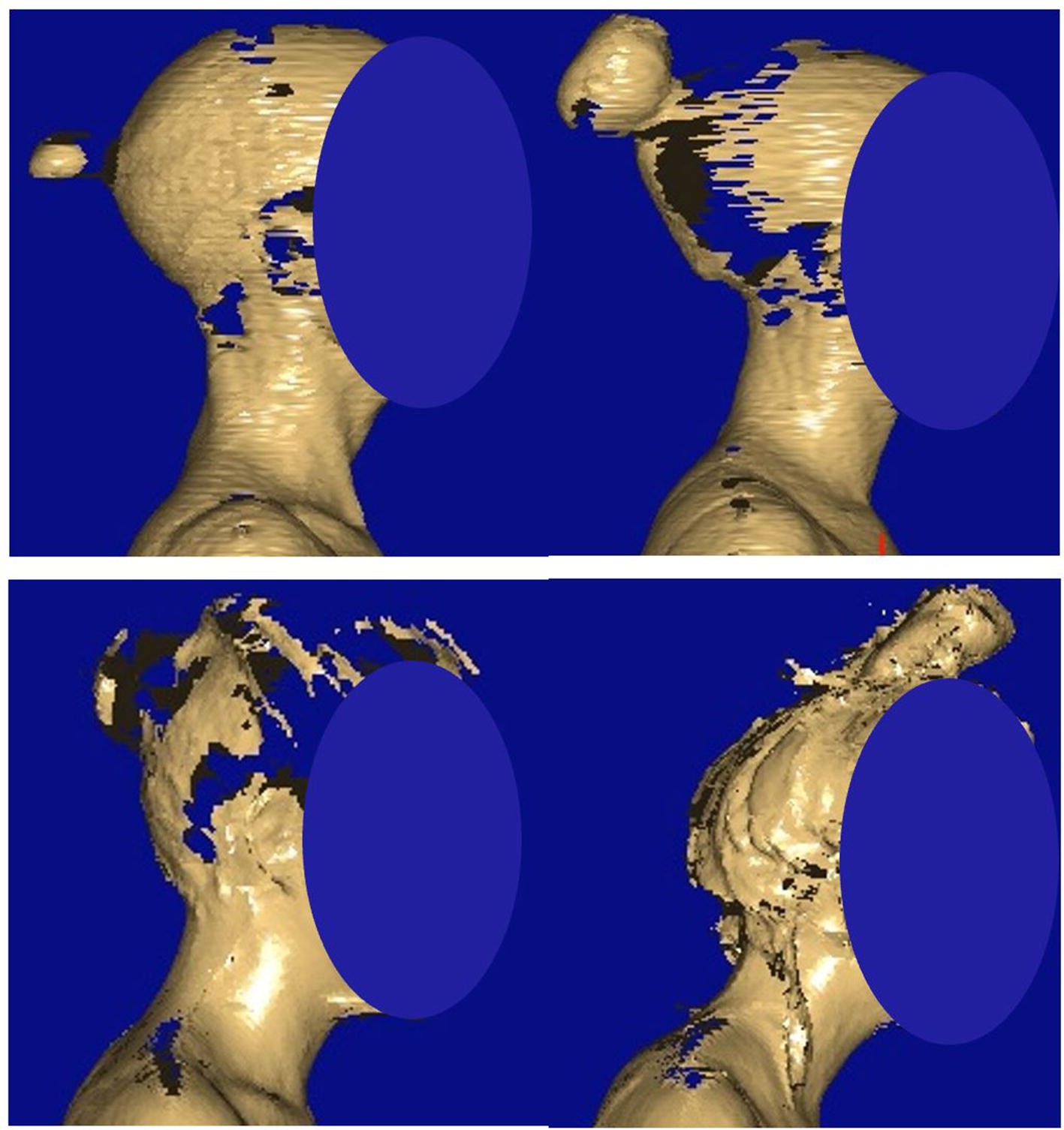 Fig. 7