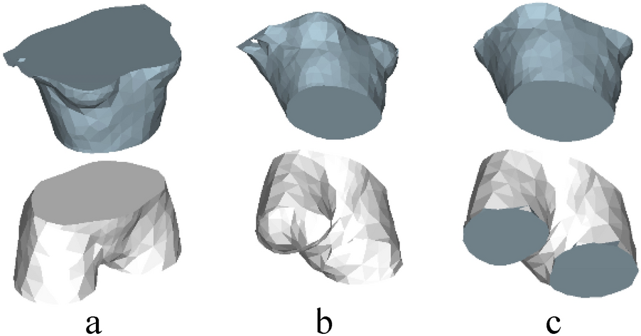 Fig. 7