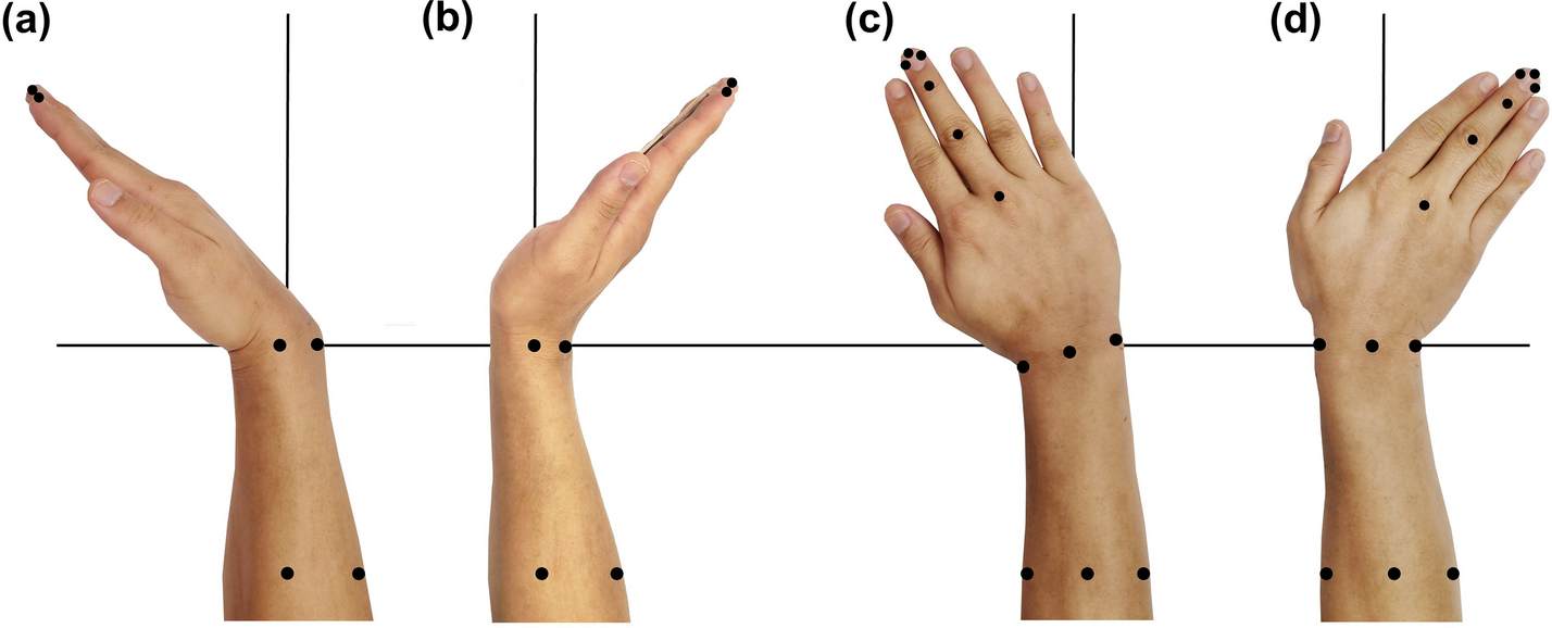 Fig. 2