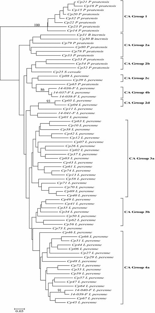 Fig. 2