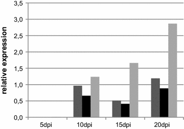 Fig. 3