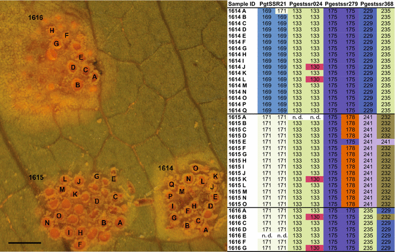 Fig. 1