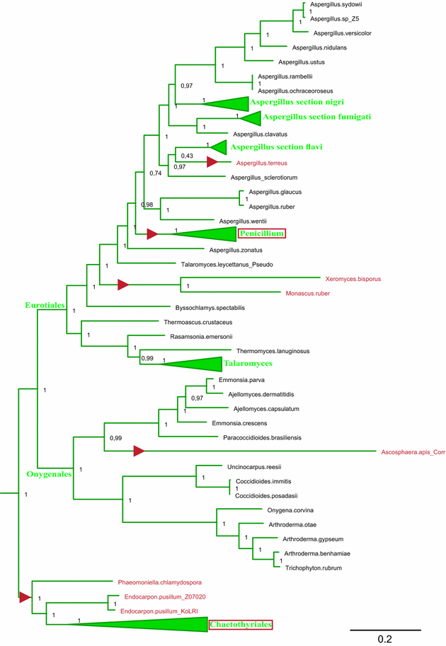 Fig. 4