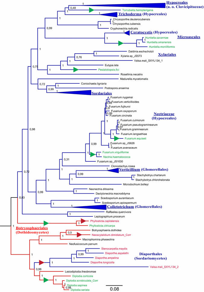 Fig. 7