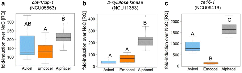 Fig. 4