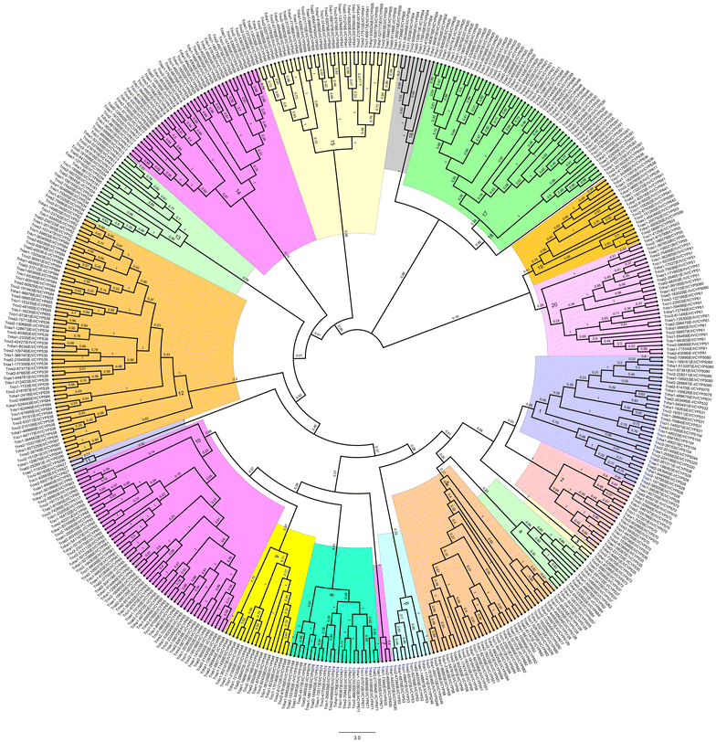 Fig. 4