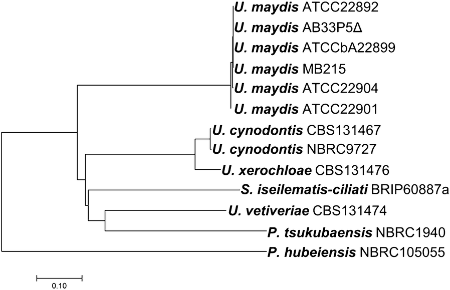 Fig. 4