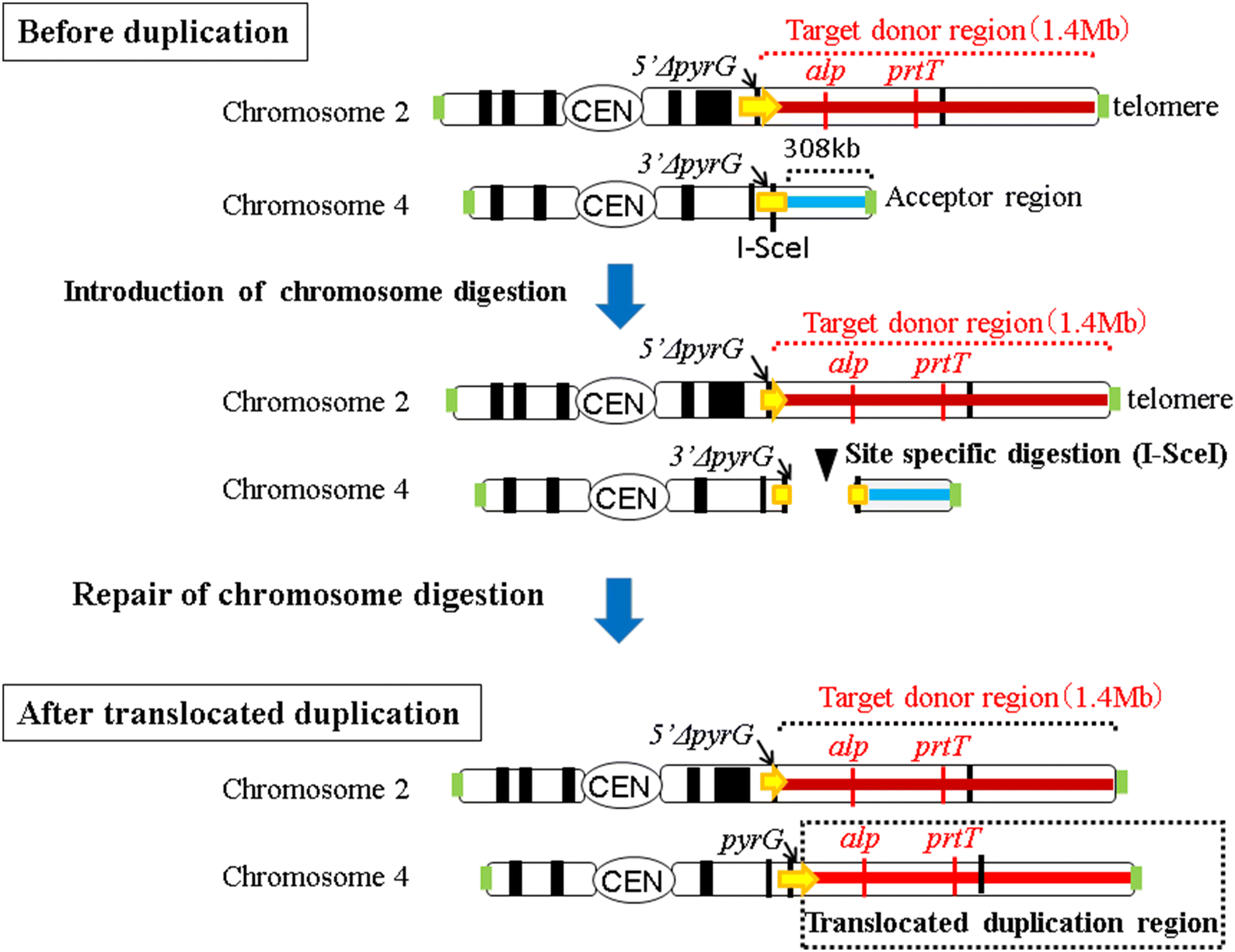 Fig. 2