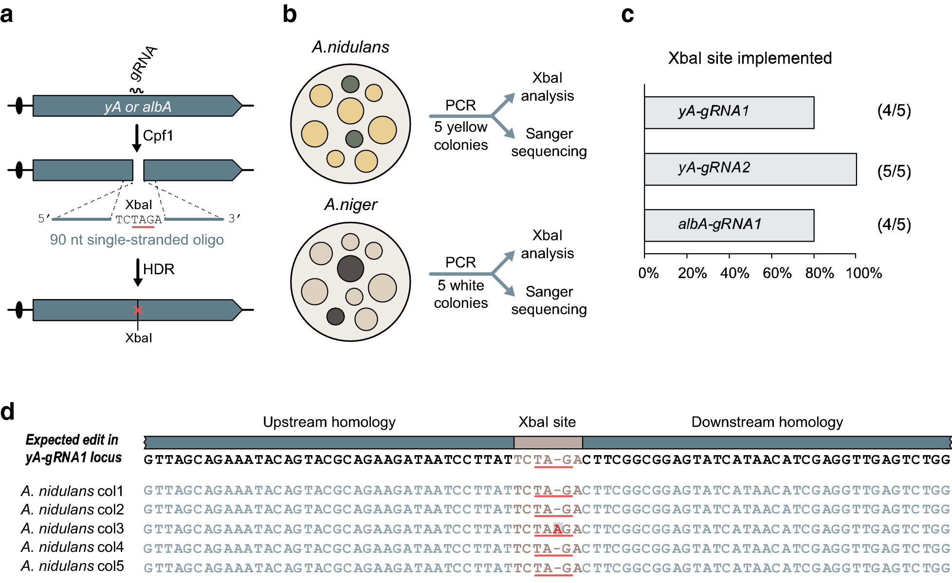 Fig. 3