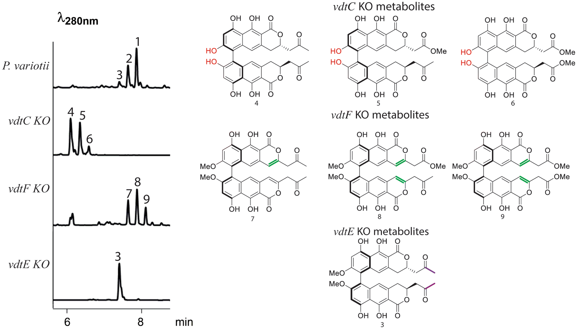 Fig. 5