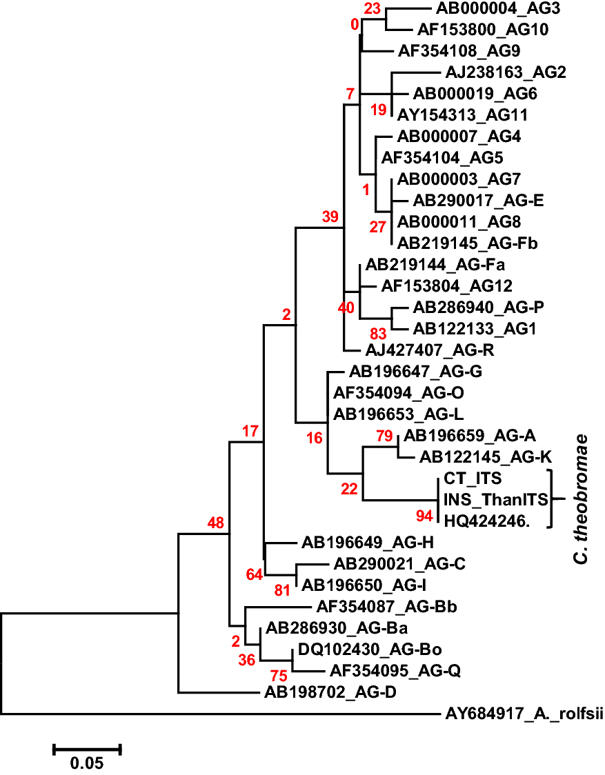 Fig. 2