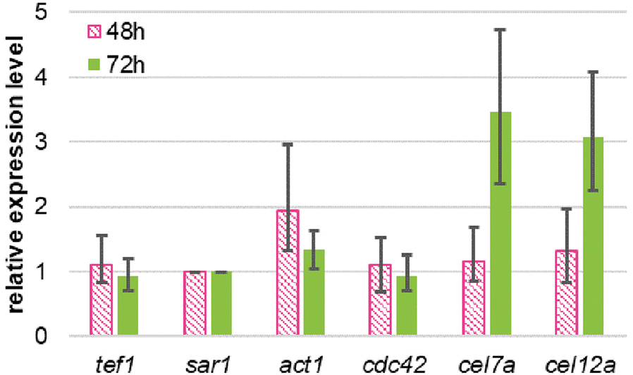 Fig. 4