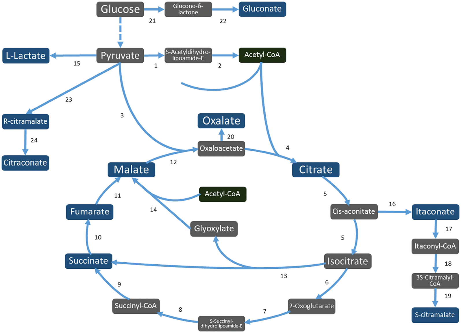 Fig. 4