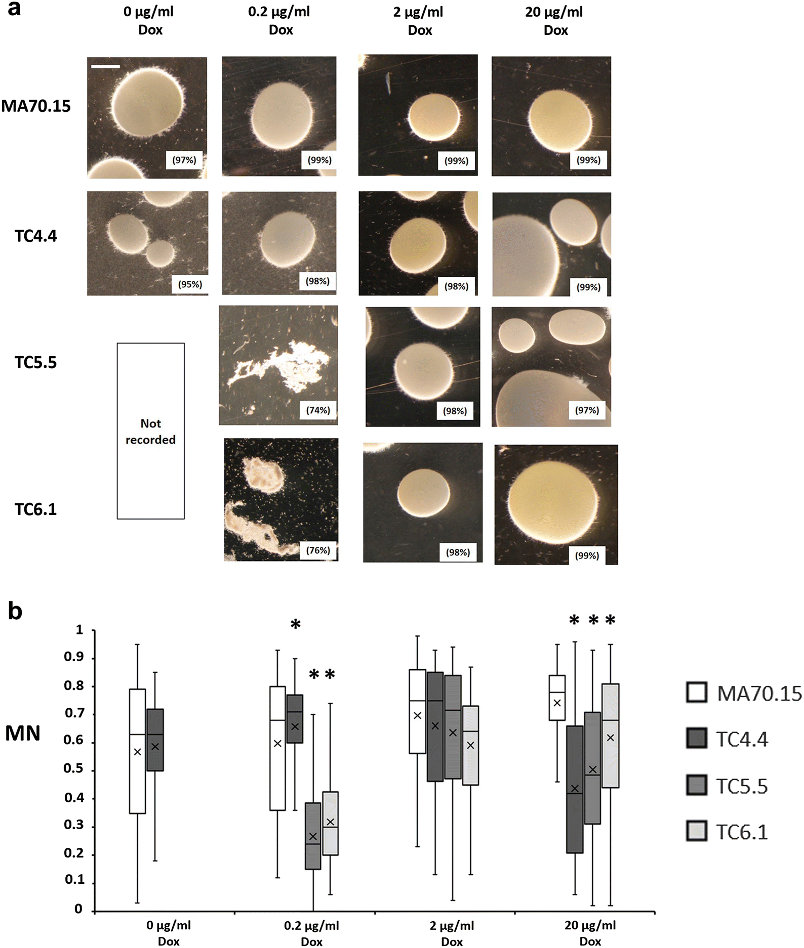 Fig. 4