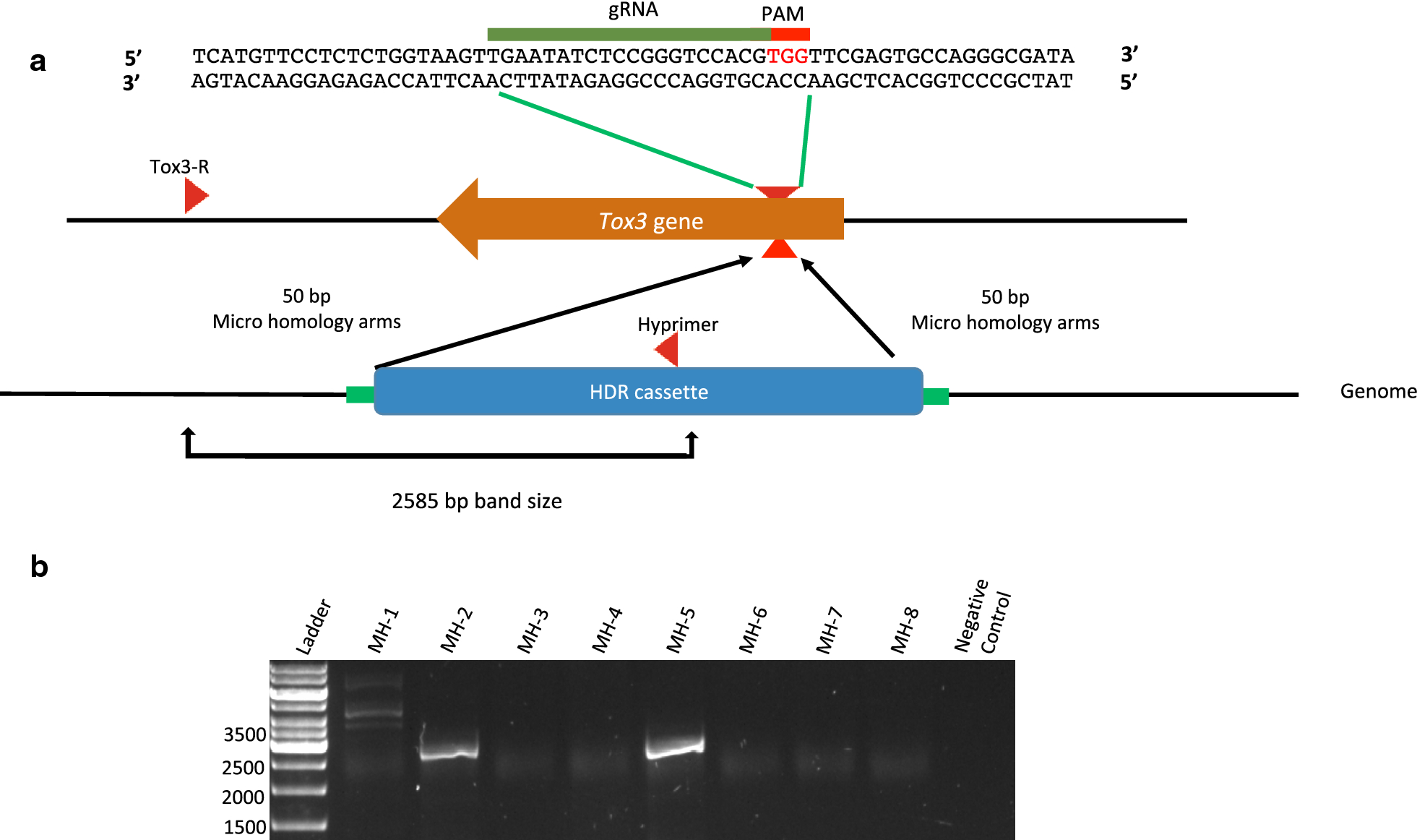 Fig. 3