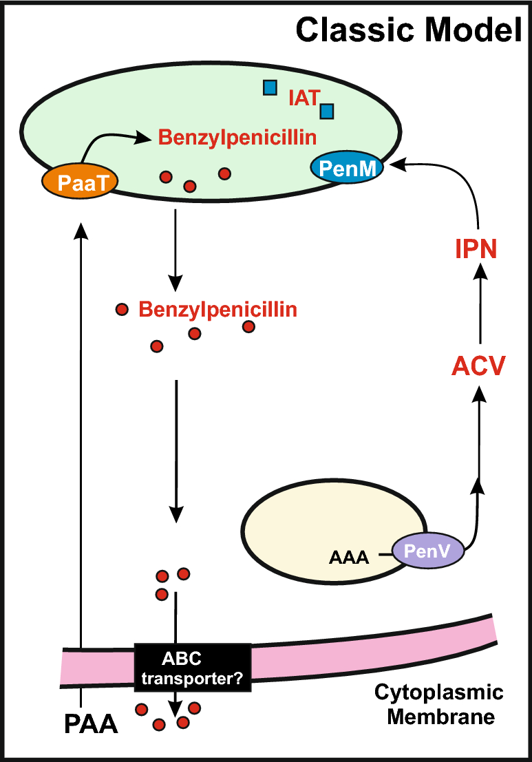 Fig. 2