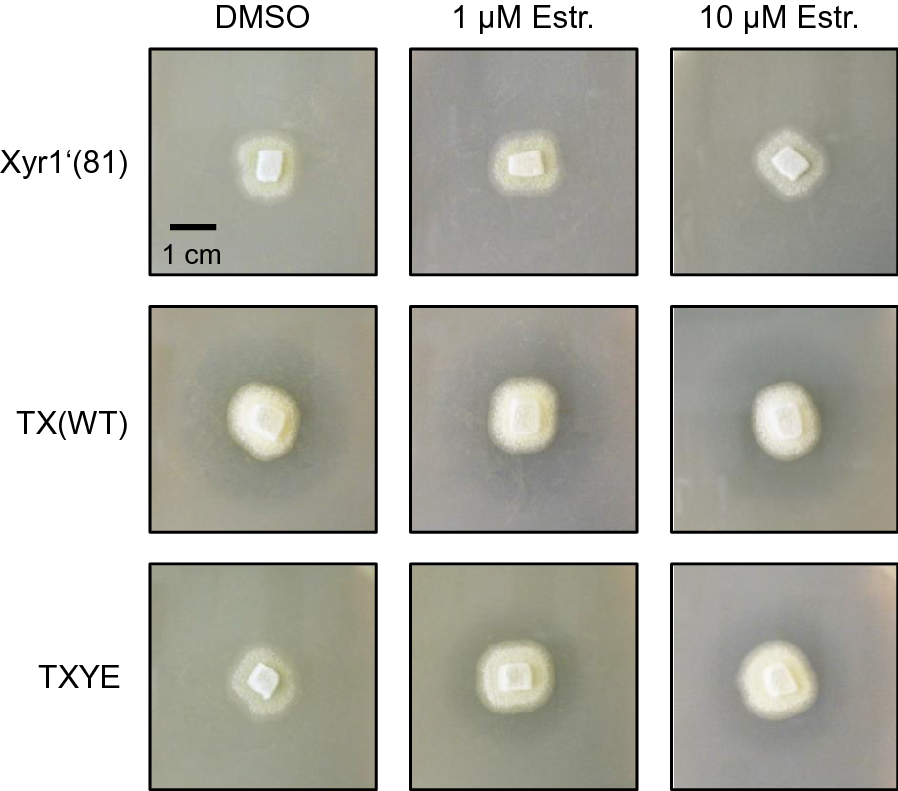 Fig. 4