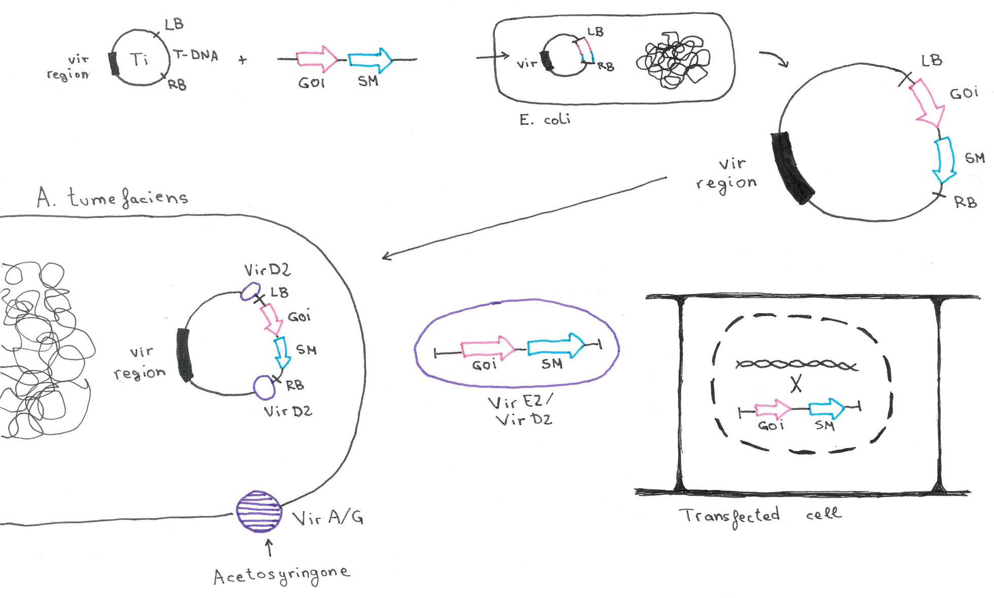 Fig. 2