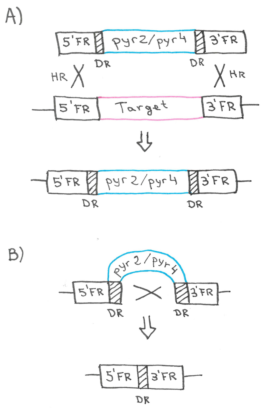 Fig. 4