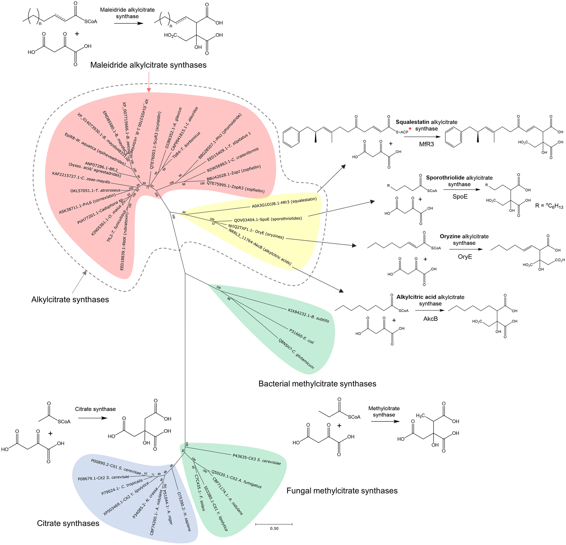 Fig. 7