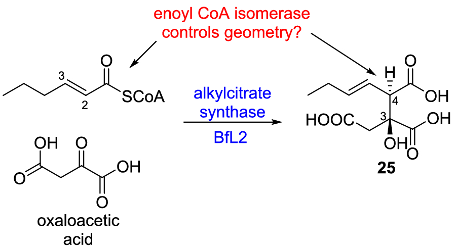 Scheme 3