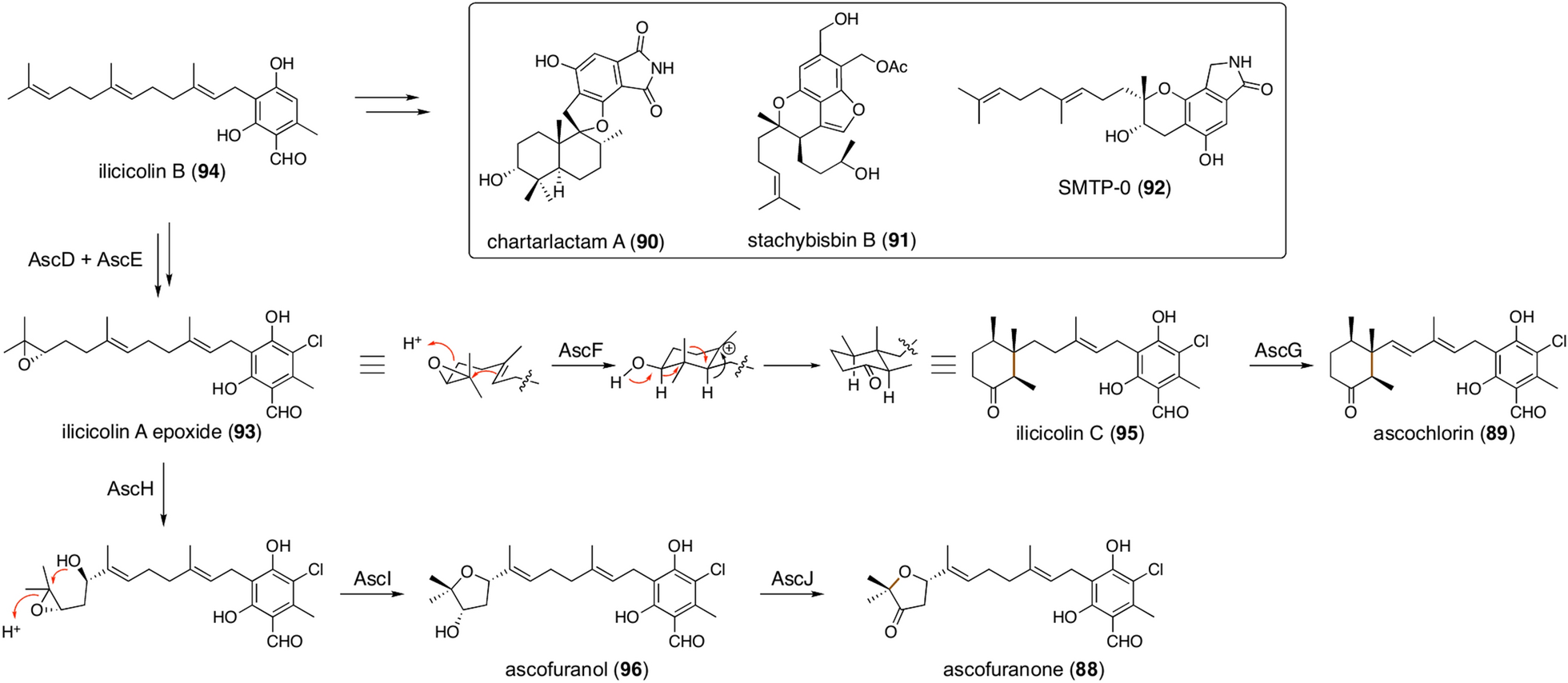 Fig. 10