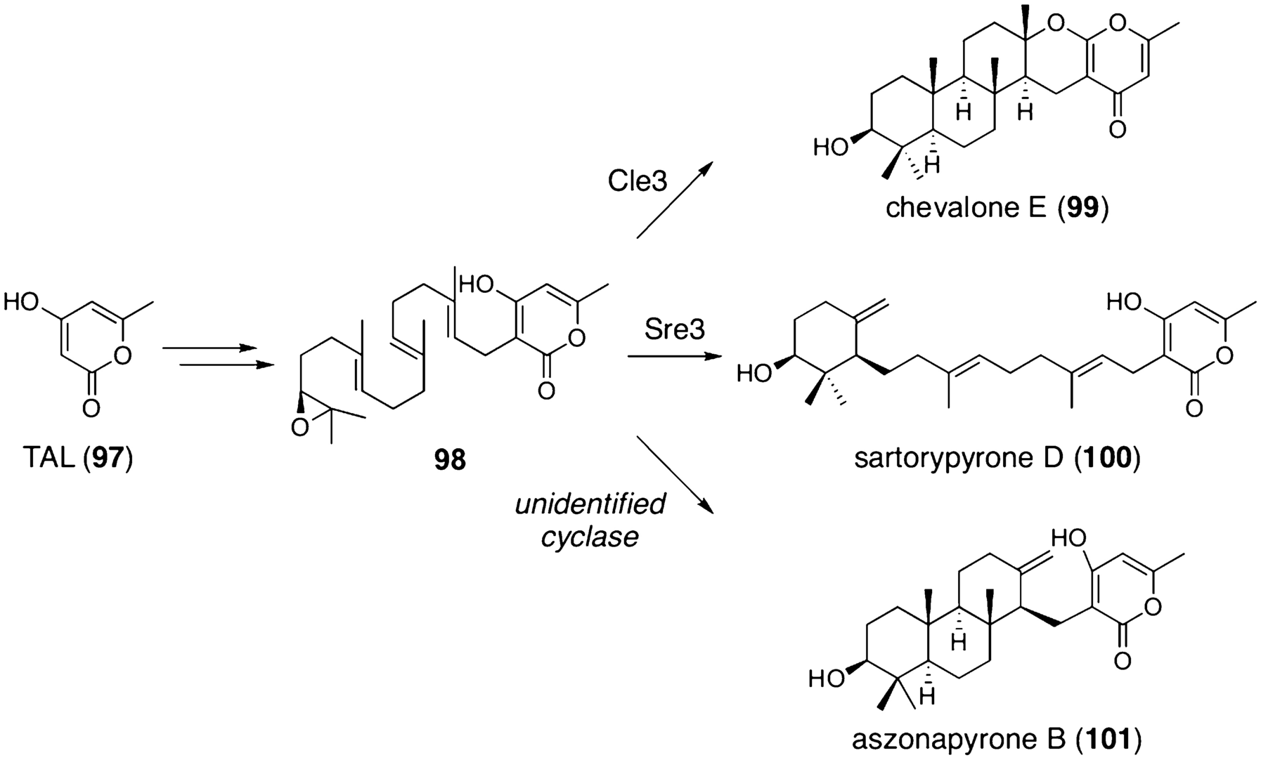 Fig. 11