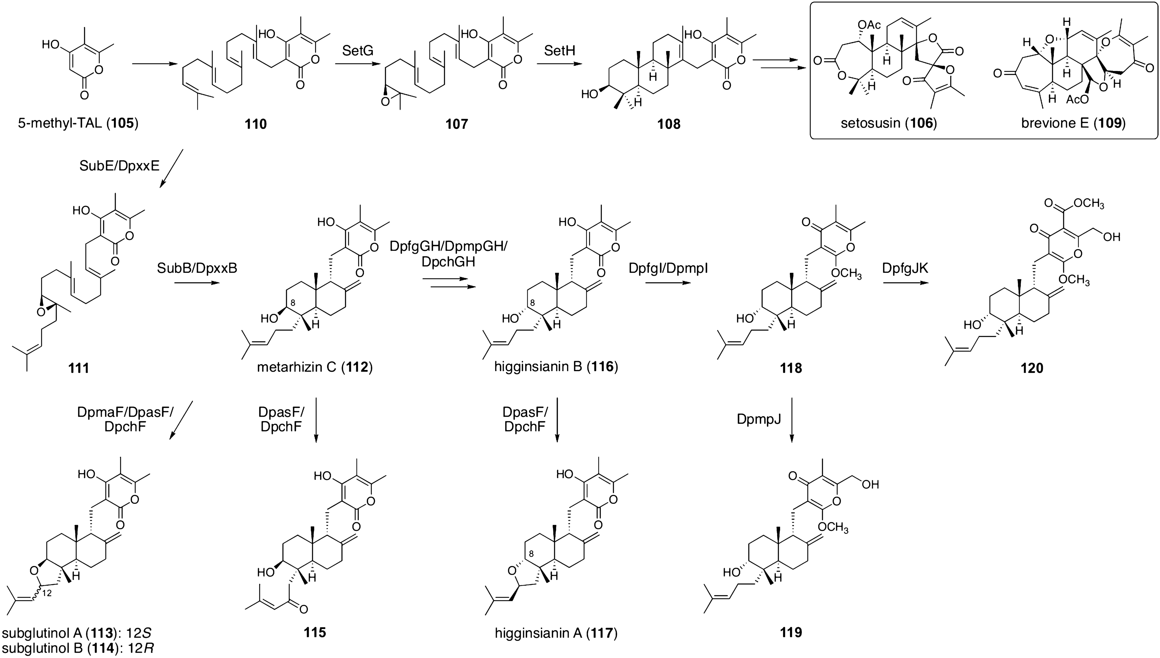 Fig. 13