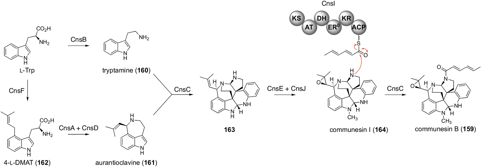 Fig. 18