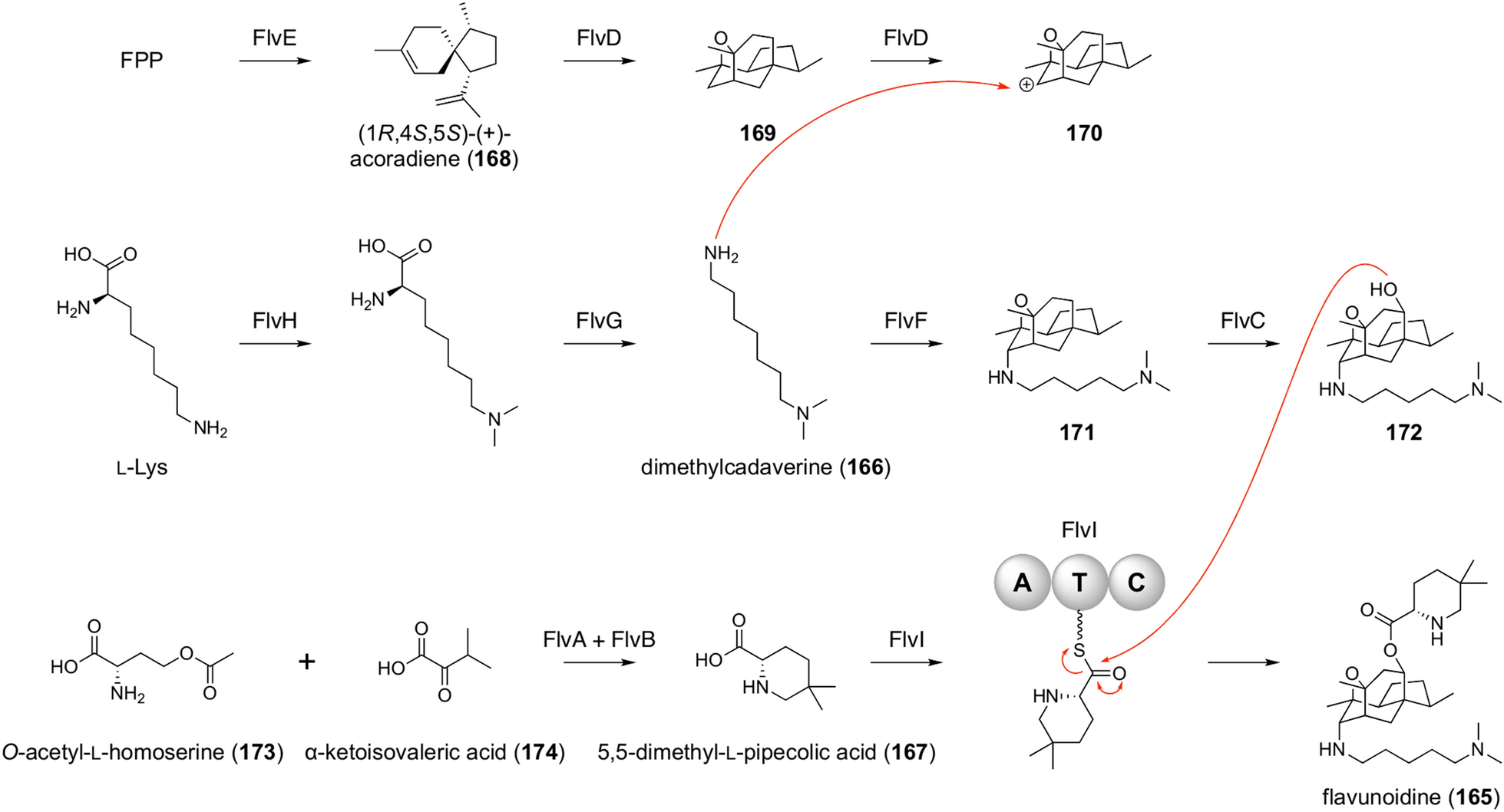 Fig. 19