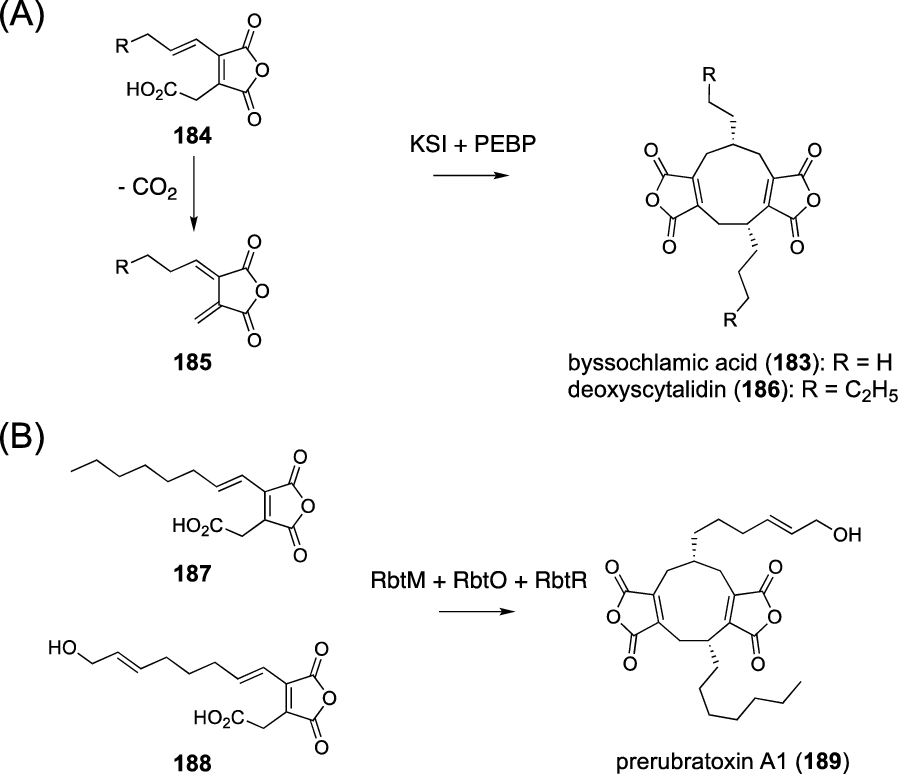 Fig. 22