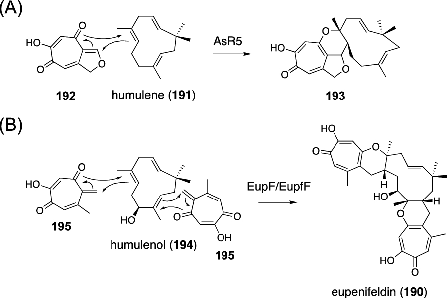 Fig. 23