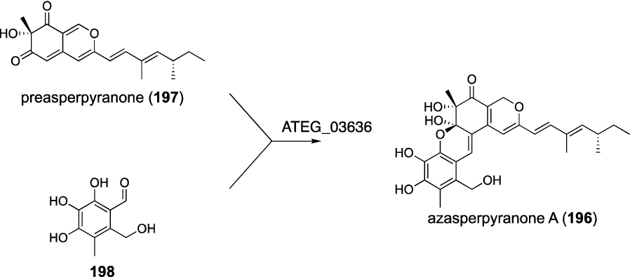 Fig. 24