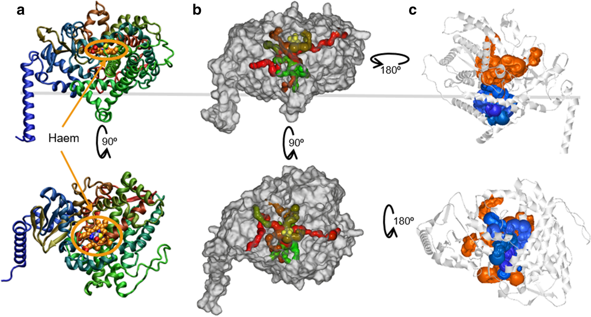 Fig. 8