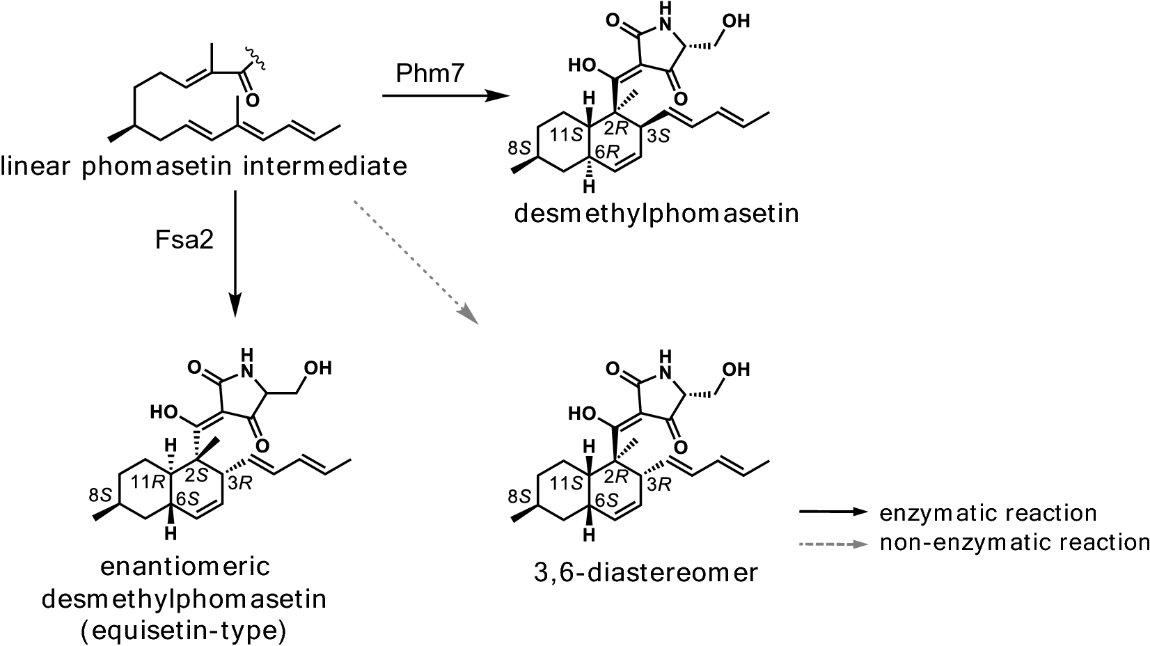 Fig. 10