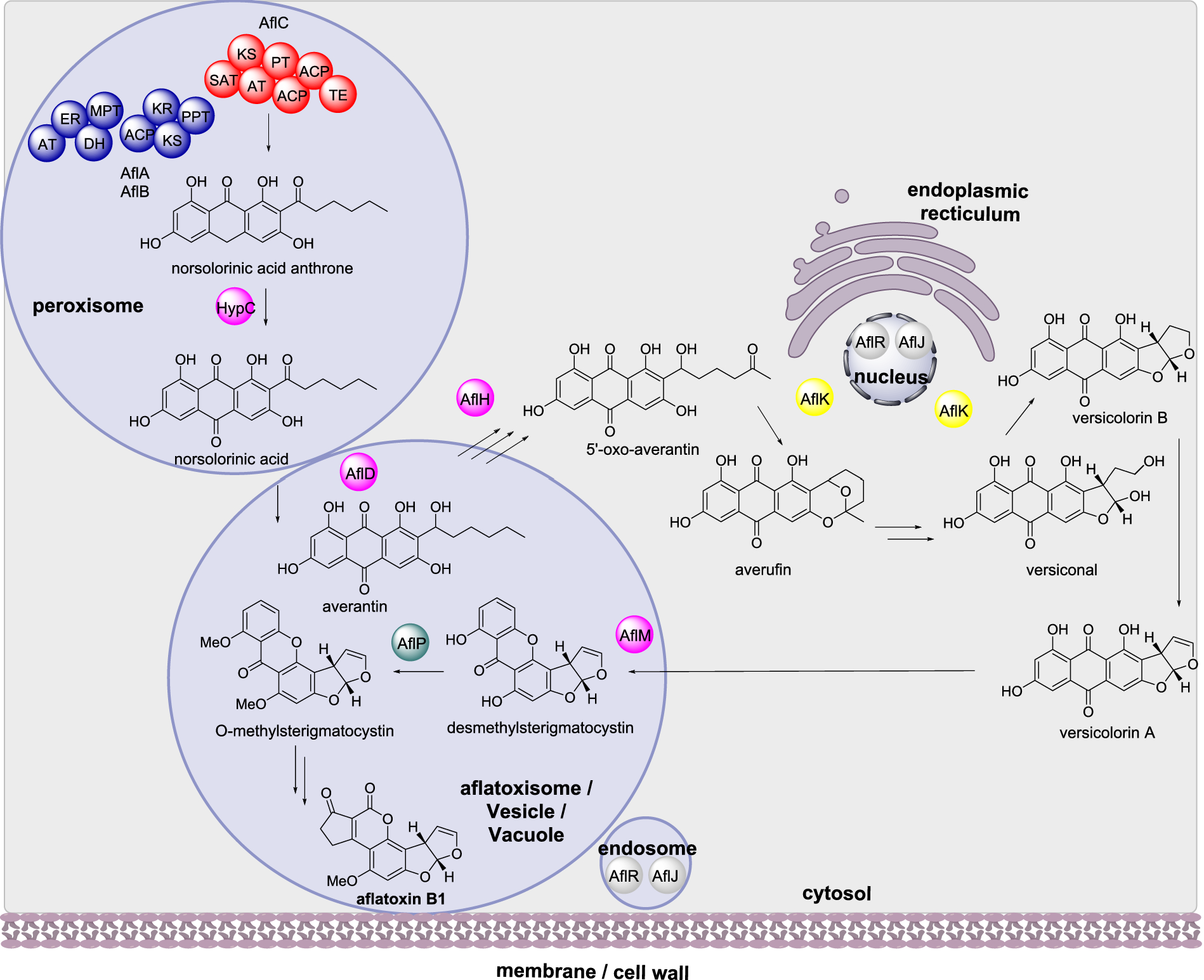 Scheme 2