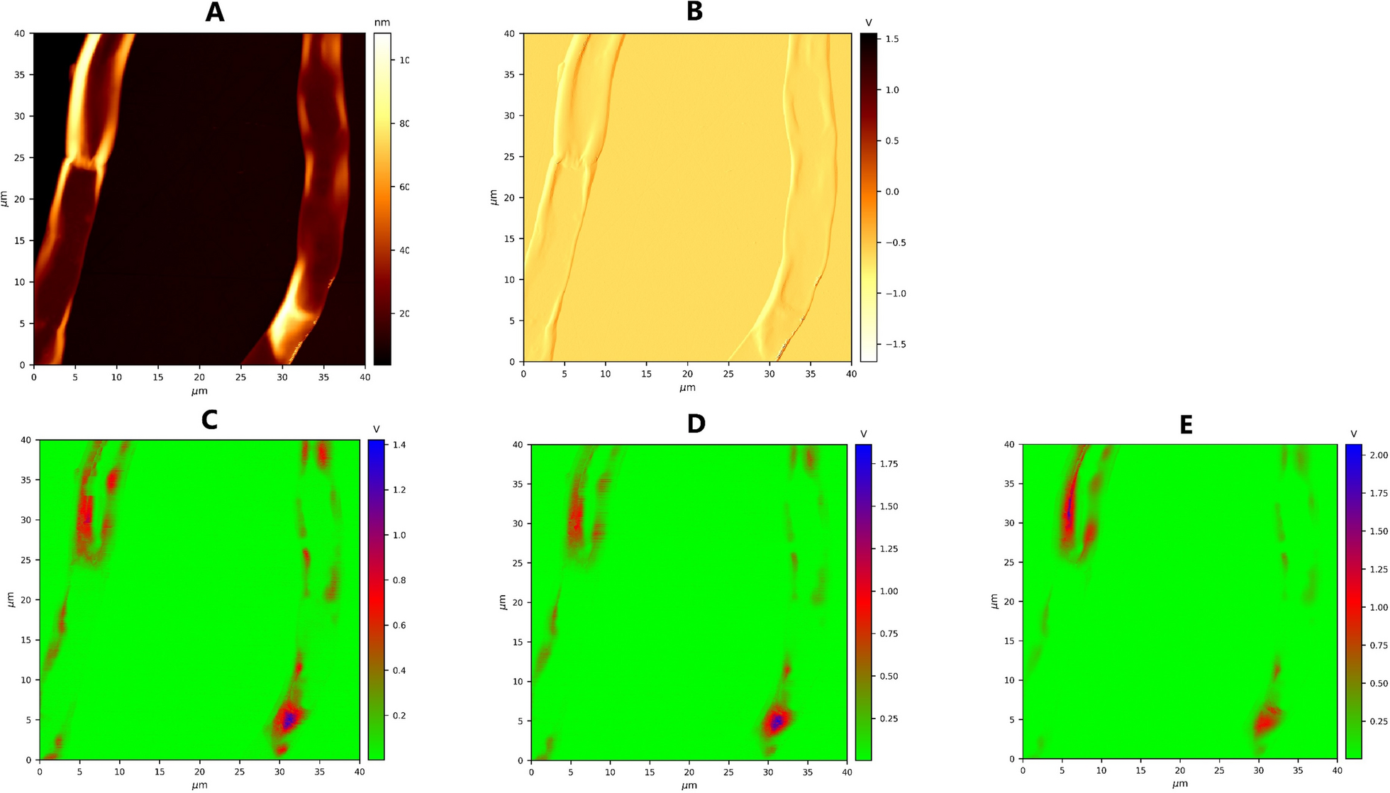 Fig. 9